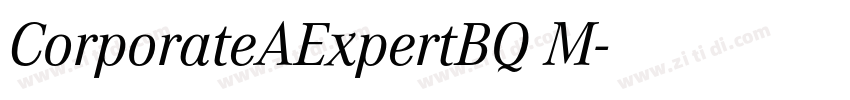 CorporateAExpertBQ M字体转换